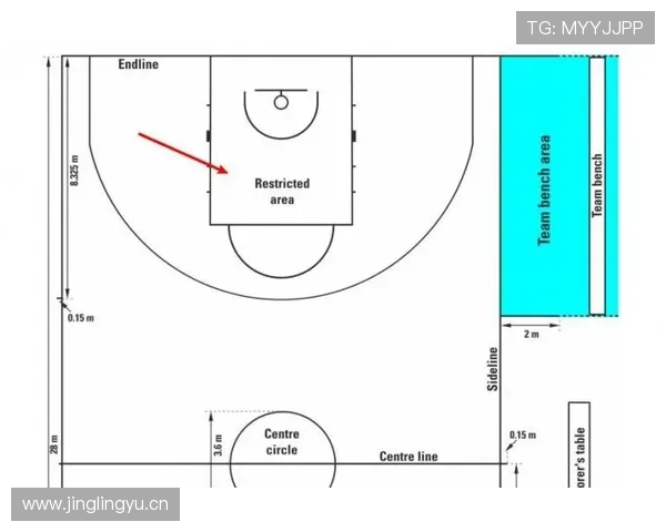 篮球新手指南：快速理解NBA与FIBA的罚球规则核心差异